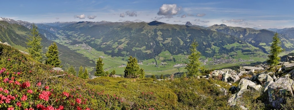 Neukrichen - Bramberg - Almrose